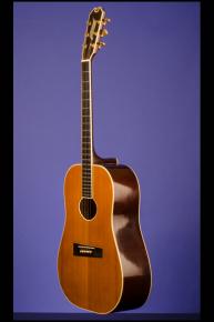 1977 D'Aquisto Flat-Top Delux Dreadnought